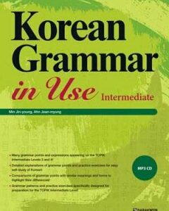 Korean Grammar in Use Intermediate Грамматика корейского языка для продолжающих на английском языке