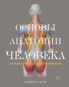 Основы анатомии человека. Наглядное руководство для художников. Роберто Ости (978-5-389-12861-3)