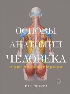 Основы анатомии человека. Наглядное руководство для художников. Роберто Ости (978-5-389-12861-3)