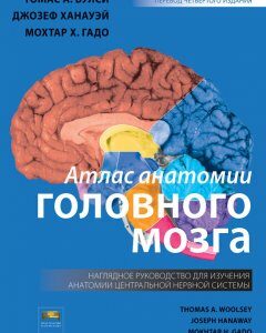 Атлас анатомии головного мозга. Наглядное руководство для изучения анатомии ЦНС - Вулси Т.А.