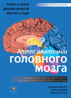 Атлас анатомии головного мозга. Наглядное руководство для изучения анатомии ЦНС - Вулси Т.А.
