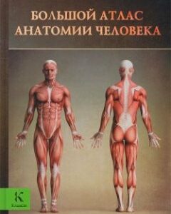 Большой атлас анатомии человека (621568)