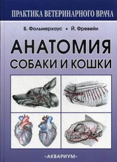 Анатомия собаки и кошки. Руководство